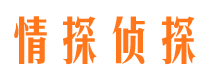 蓬安市私人侦探